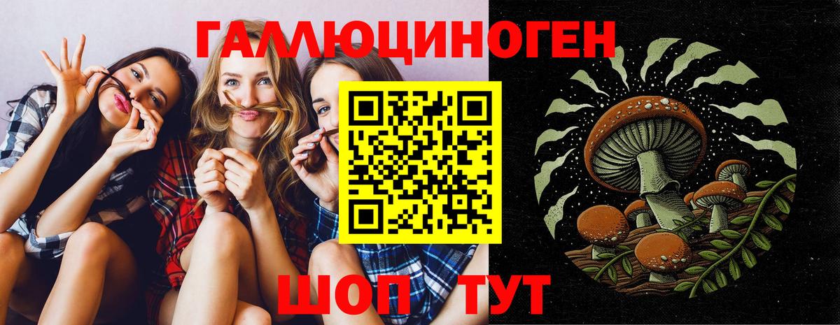 Городец  Галлюциногенные грибы мицелий  купить наркоту  Вход с VPN 