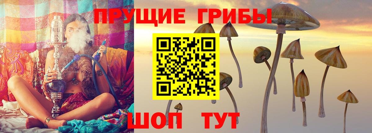 Галлюциногенные грибы ЛСД Городец